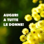 #donne