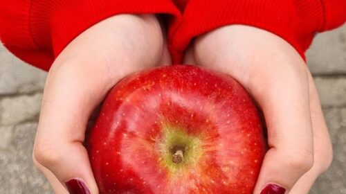 woman holding an apple in her hands